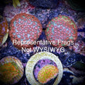 Meteor Shower Cyphastrea (Frag)