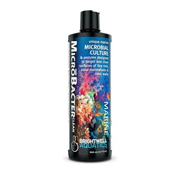 Brightwell Aquatics Microbacter Clean